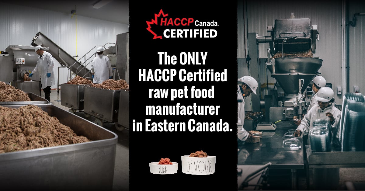 IWR_01Jan_HACCP_1200x628_BLogHeader-01